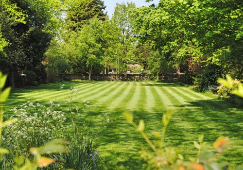 Lawn 500 350
