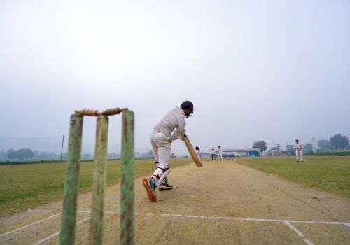 Sports turf cricket 500 350